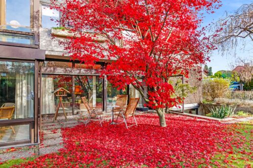 erbimmobilie_greven_homestaging_0000_15 (2)